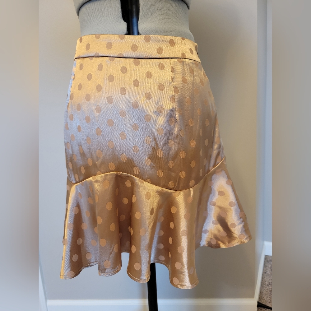 Polka Dot Flared Skirt
